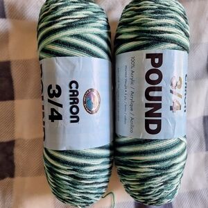 Caron 3/4 Pound Yarn in Green and Black